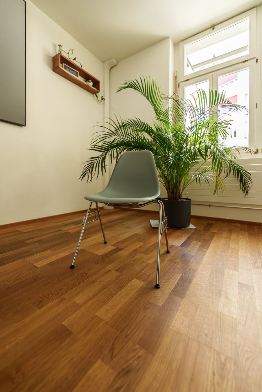 Vitra Stühle: Vitra Eames DSS Stühle – 14x Original, hellgrau, Topzustand – Gebraucht aus Bern von agetro1974