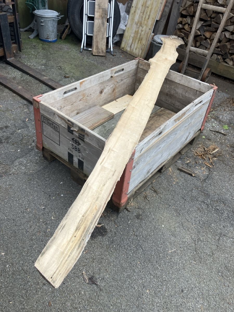 Holzartikel: Birke holz – Gebraucht aus Burg AG von ala_cx8x 1