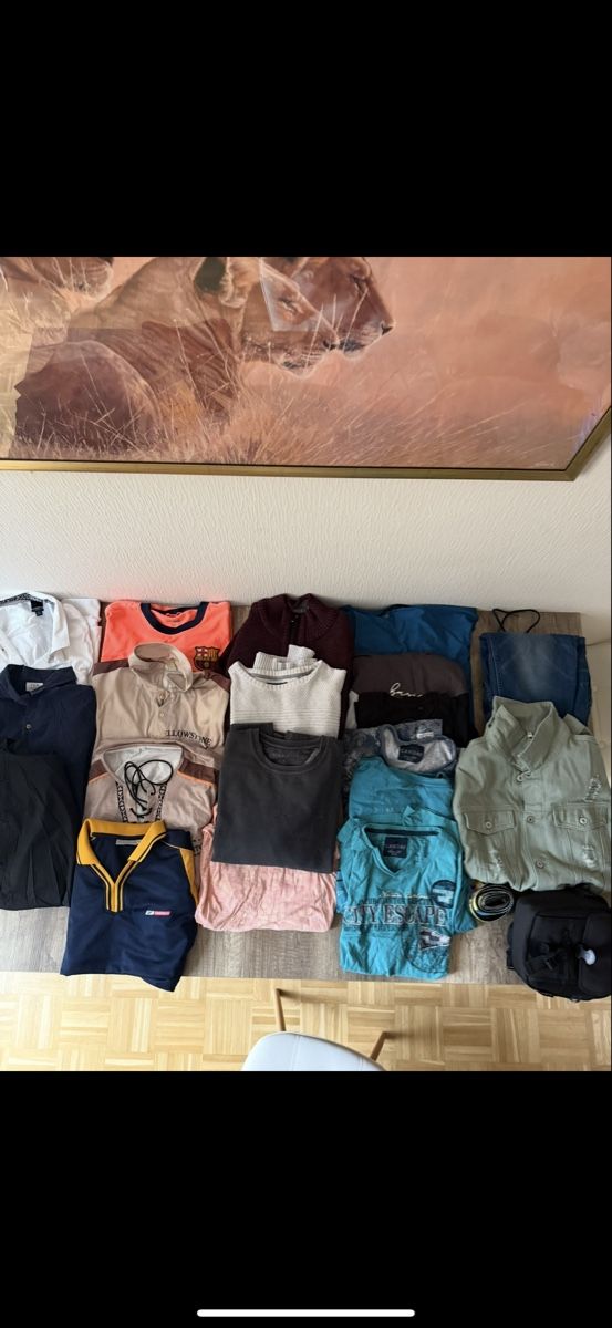 Lotti di vestiti: Vide grenier Habille – Usato da Nyon venduto da vla_r5m7 1