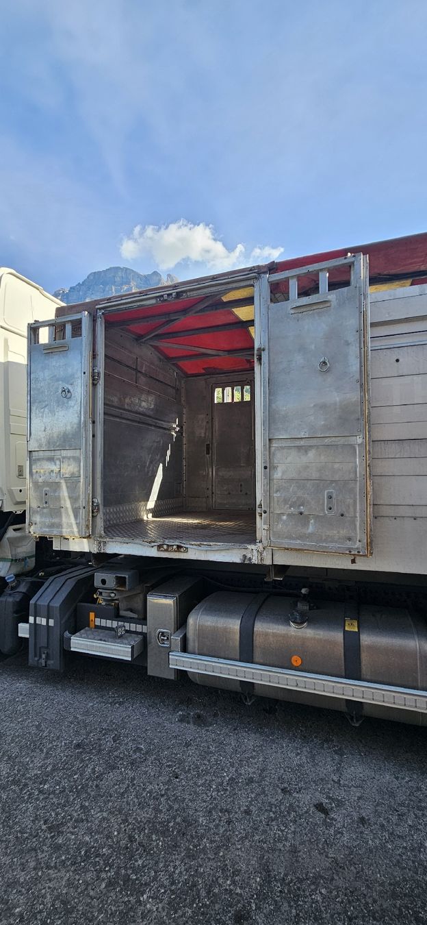 Contenitori edile: Viehaufbau 16.4m² – Usato da Flums venduto da Frosch850 4