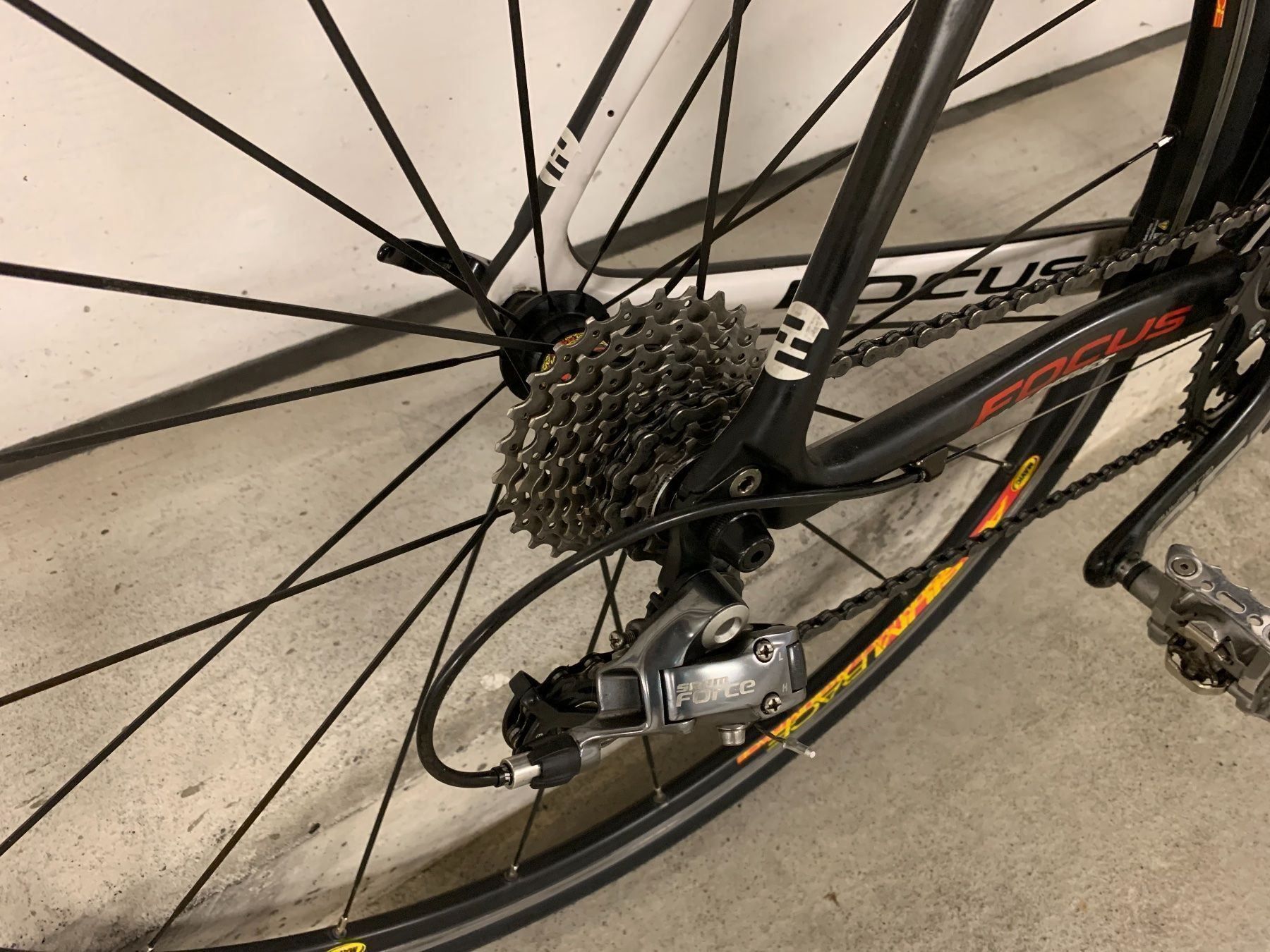 Biciclette: Carbon Rennrad Focus – Usato da Zürich venduto da divertimento4 8