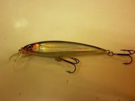 Squid Minnow 100 mm BKB