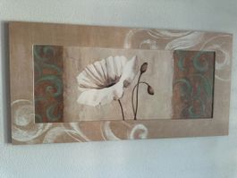 Bild Mohnblume 