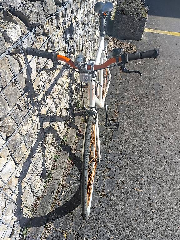 Biciclette: Single Speed GT  – Usato da Uetendorf venduto da hof_2rmq 3