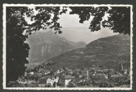 Carte P de 1943 ( Monthey )