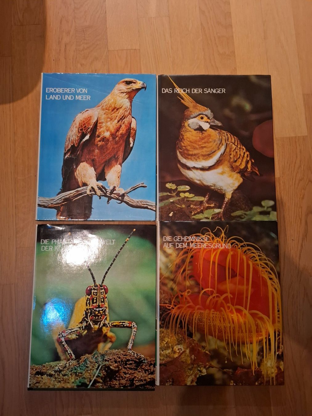 Libri: Tierbücher – Usato da Kreuzlingen venduto da MalagaW 1