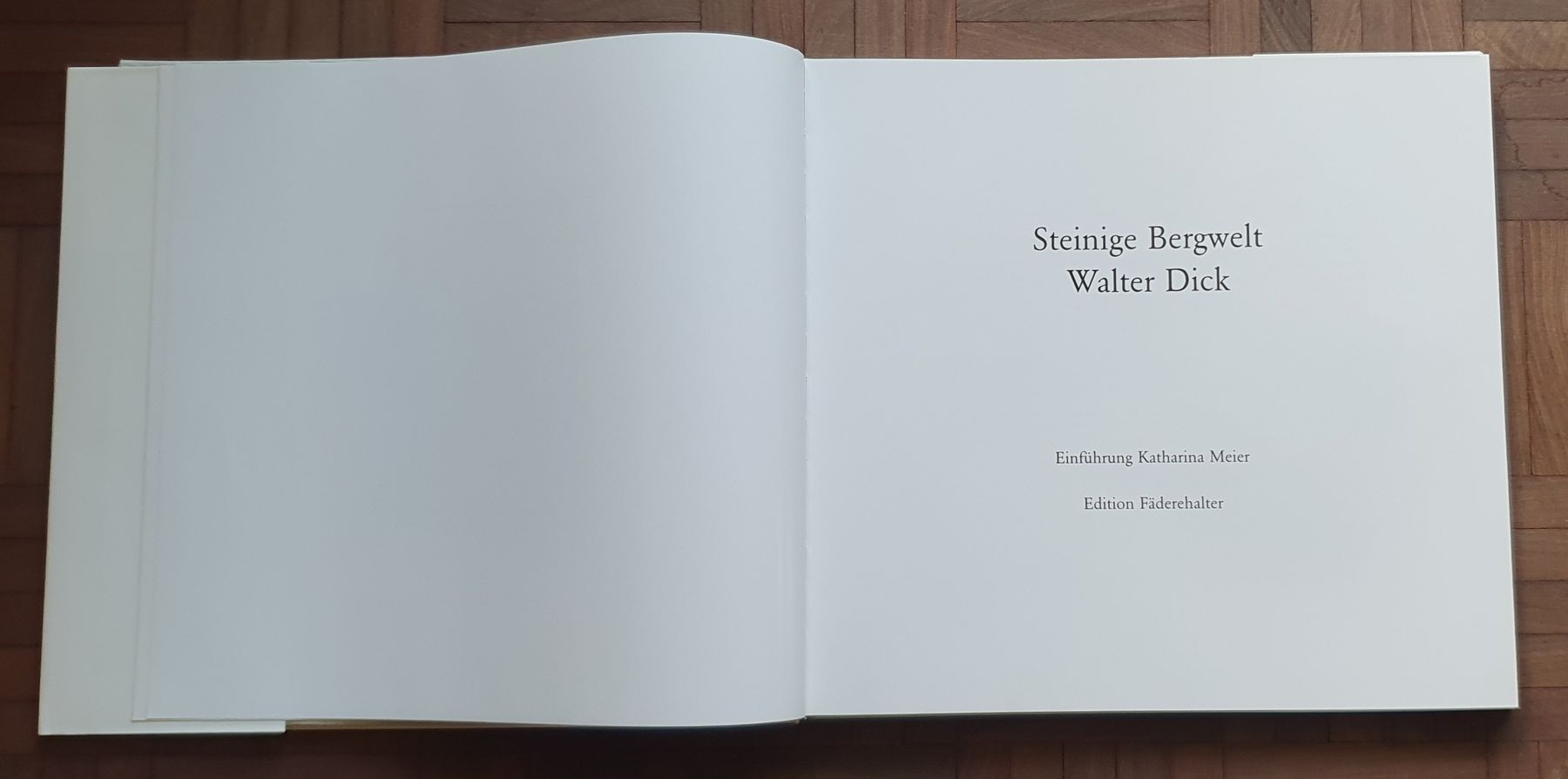 Libri: Buch - Walter Dick - Steinige Bergwelt – Usato da Kreuzlingen venduto da Rschweiz1 8