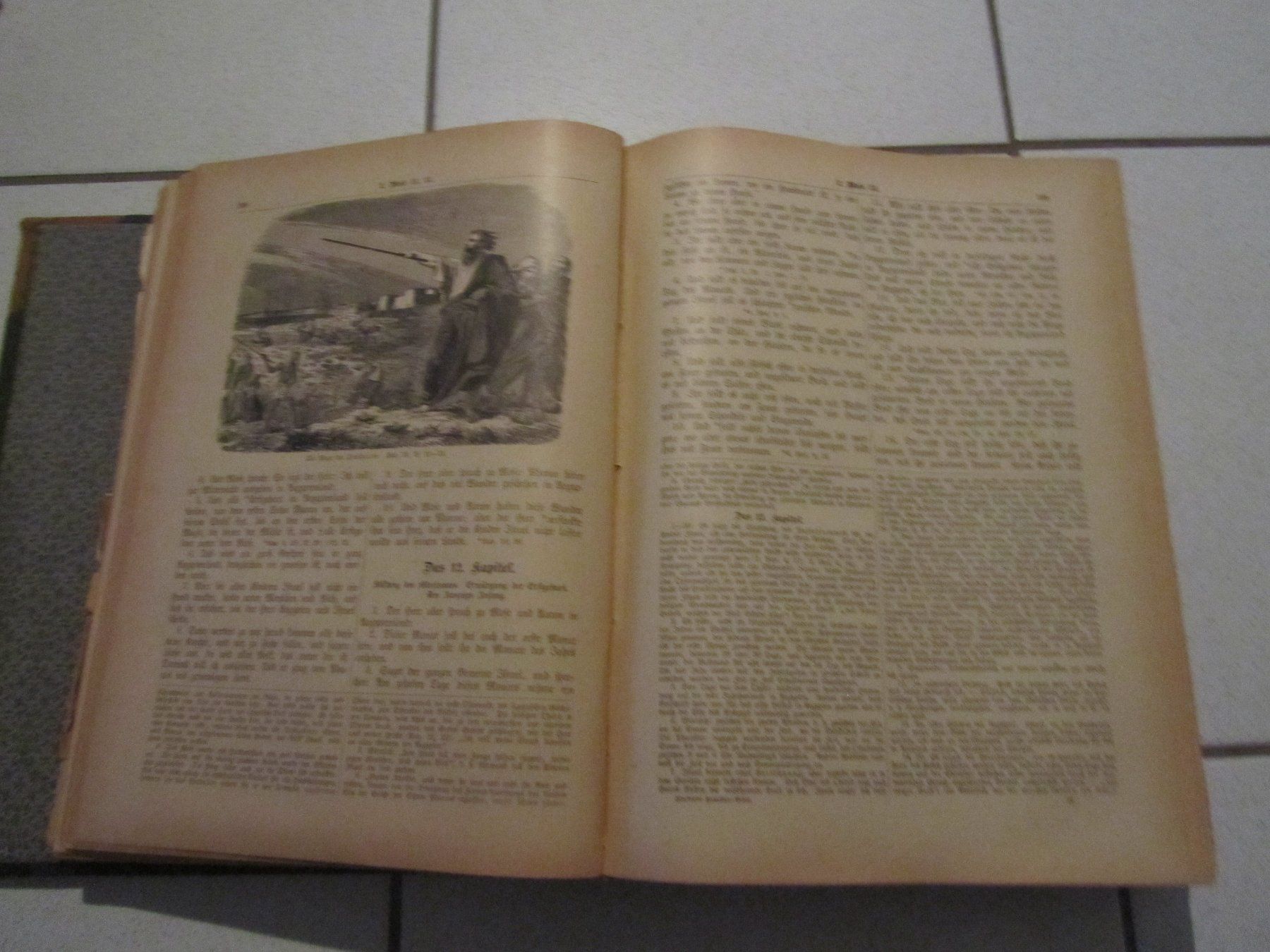 Libri: Illustrierte Familien Bibel – Usato da Weiningen ZH venduto da dietsch57 5