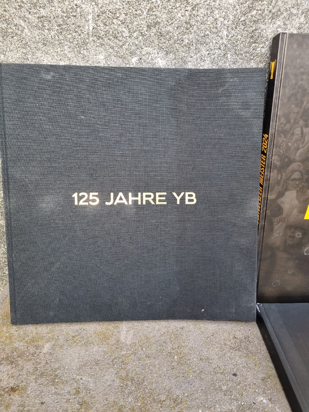 Livres: YB  BUCH – D'occasion à Ostermundigen par vintage60 3