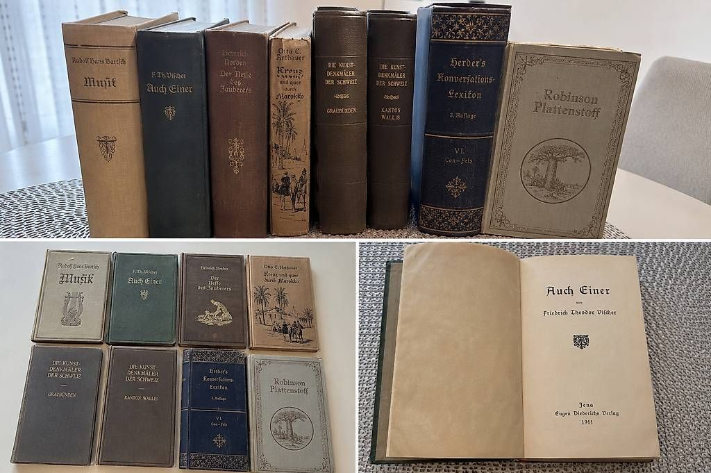Libri: antiker Bücher – Usato da Seewen SO venduto da wit_6lph