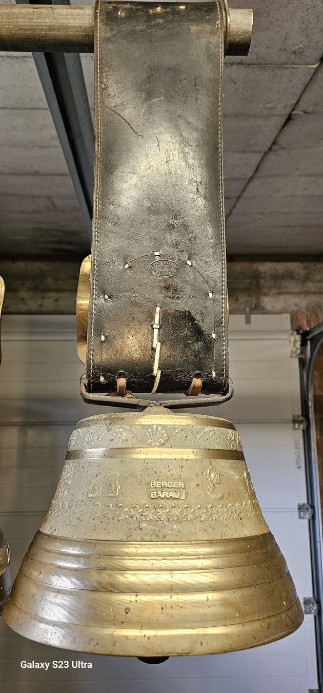 Glocken & Treicheln: verkaufen – Gebraucht aus Gondiswil von KawasakiVN1700 4