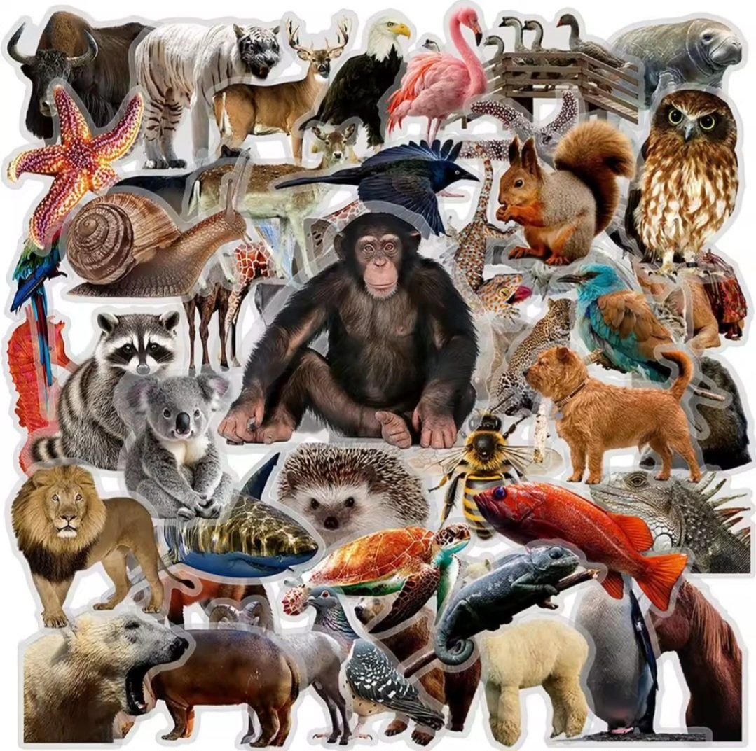 Sticker: 50 Aufkleber Sticker - Tiere – Nuovo e nell'imballaggio originale da Basel venduto da Kunterbunt12