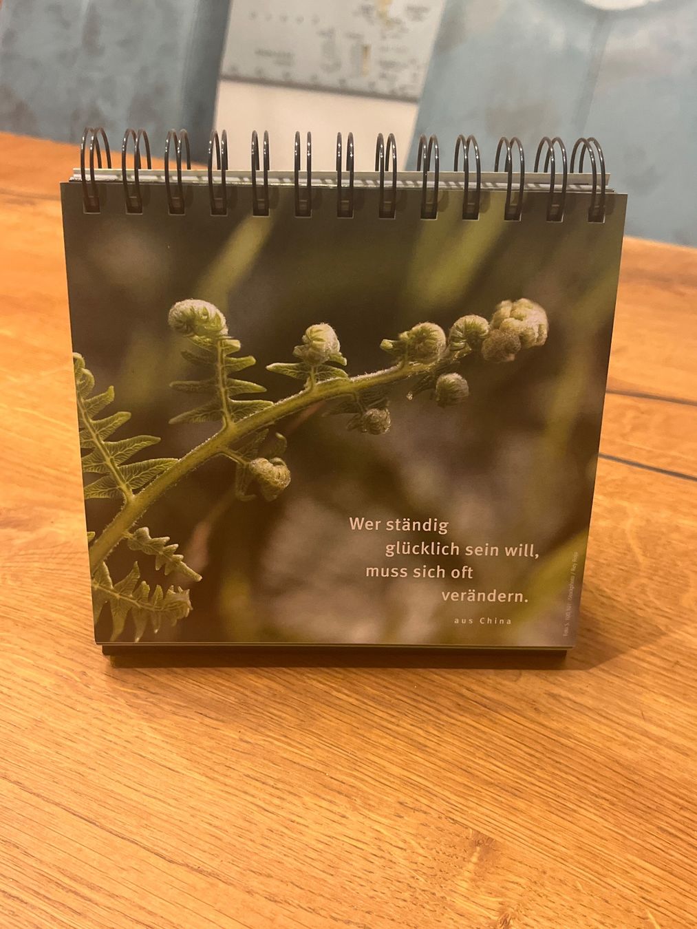 Libri: Buch Zen Harmonie des Lebens – Usato da Aarau venduto da Swifty03 4