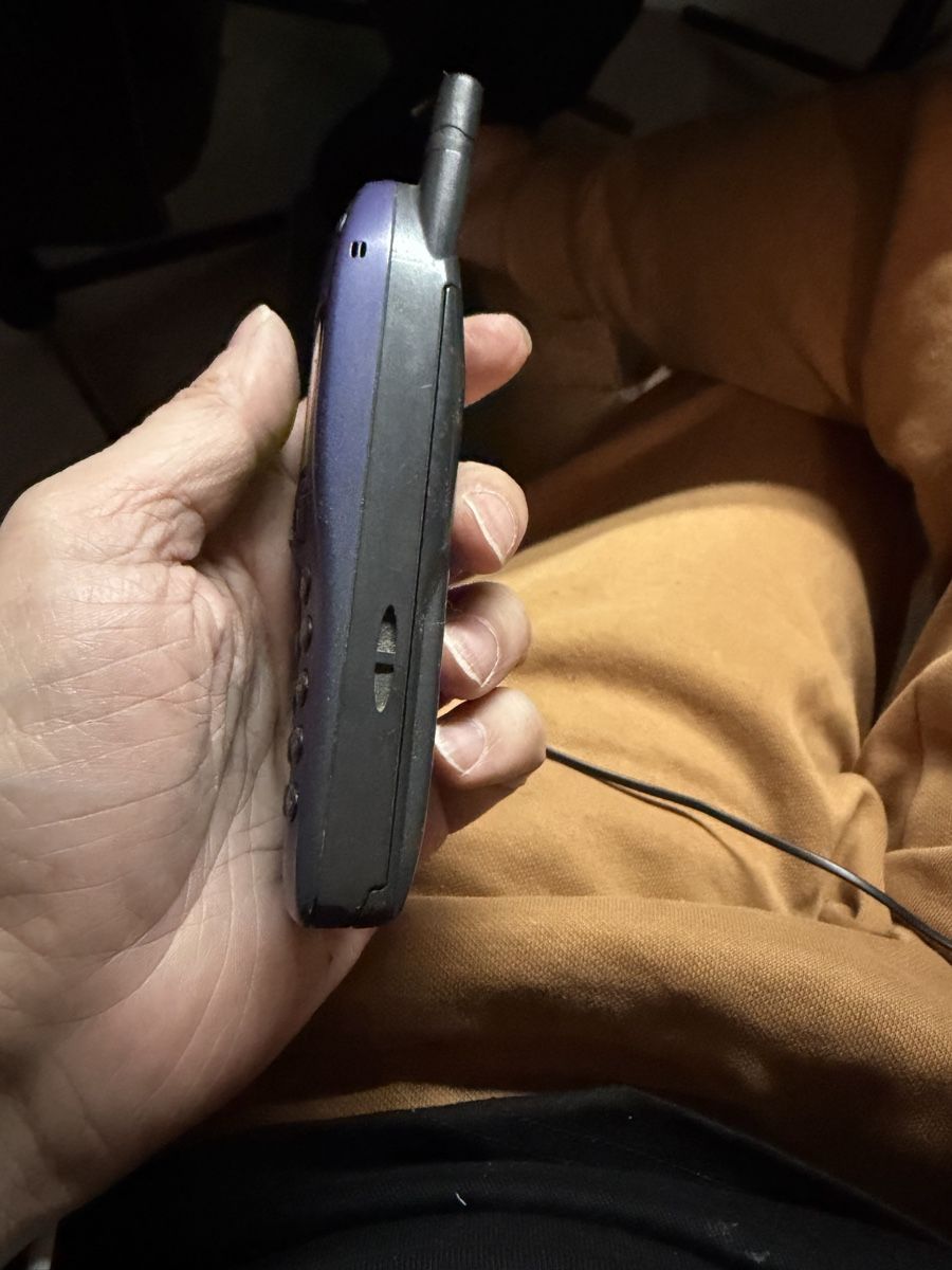 Nokia Telefoni cellulari / Smartphones: Nokia 6110 mit Akku – Usato da Wettingen venduto da NickInc 2