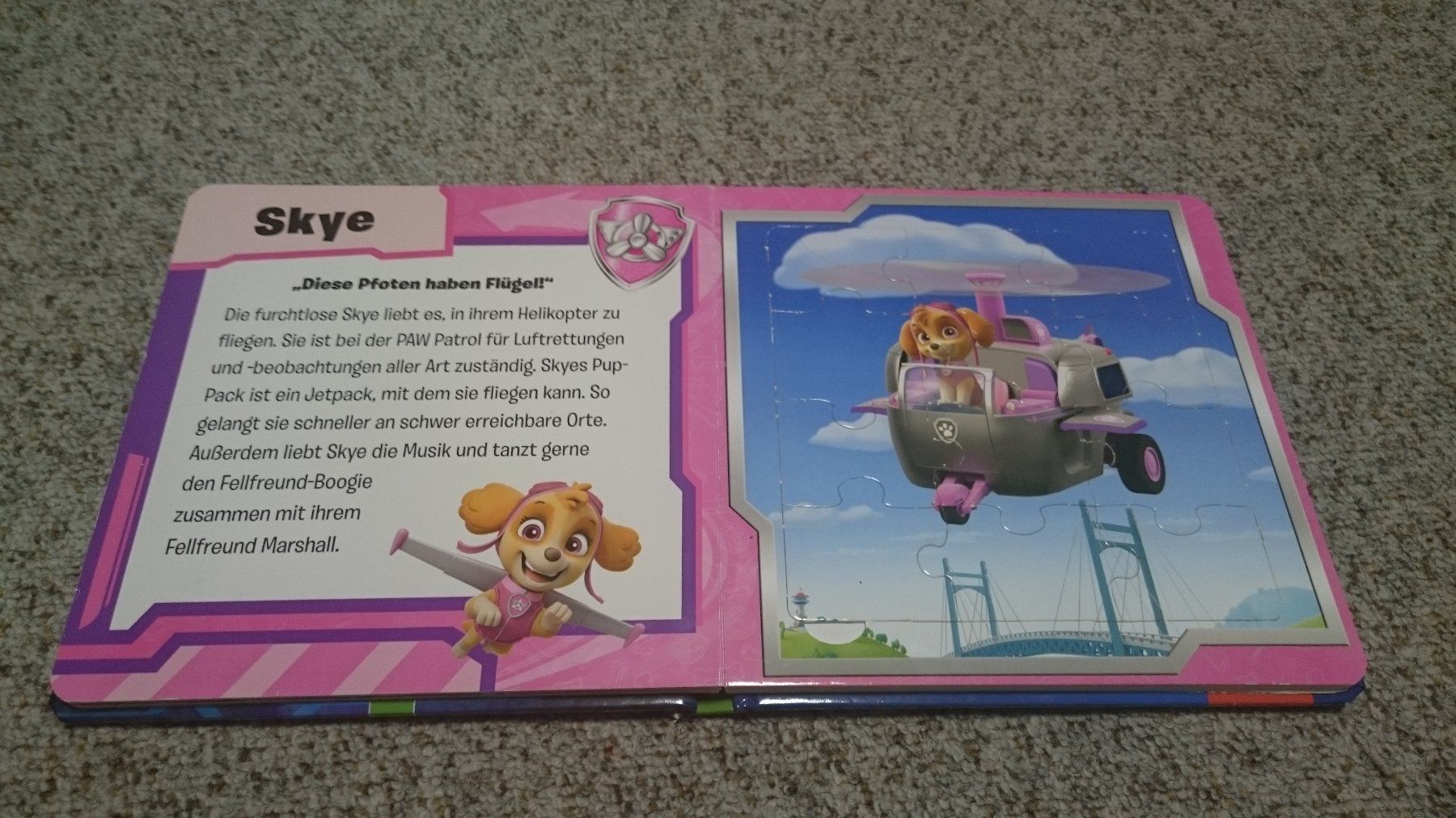 Puzzle: Paw Patrol Puzzle-Buch – Usato da Wiler b.Utzenstorf venduto da Hallucino6 3