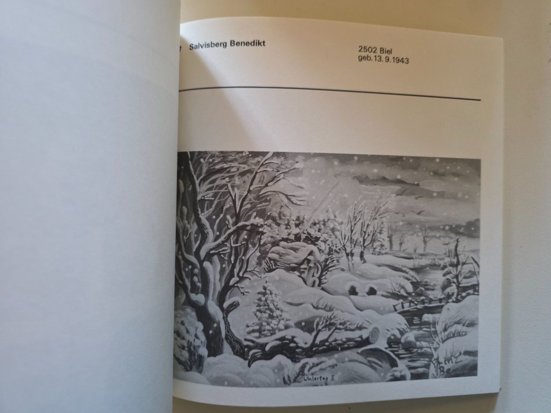 Libri: Katalog Kunst in der Elfenau - Bern 1983 – Usato da Walterswil BE venduto da Lonitti 1