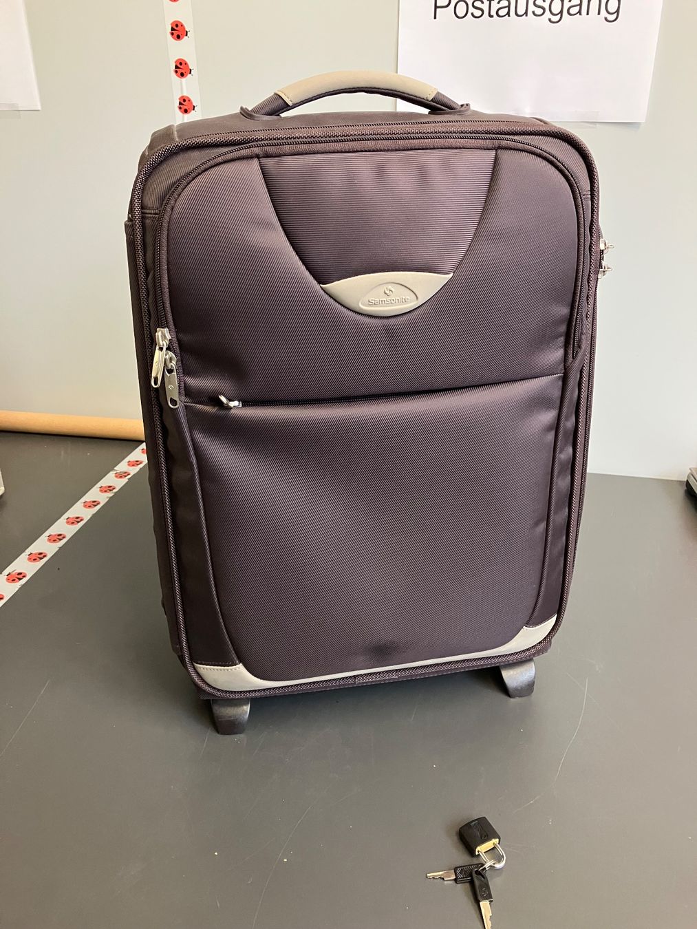 Samsonite Valigie: Handgepäck Koffer Samsonite – Usato da Aarburg venduto da Wendepunkt_Fundgrube