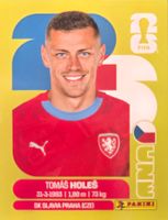 Carte FIFA World Cup 2026 CZE 7