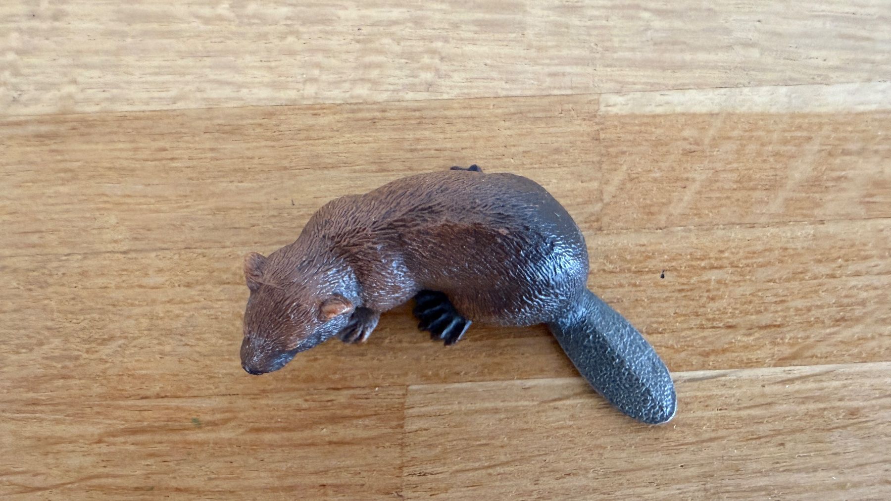 Schleich Giocattoli: SCHLEICH - Biber 14693 – Usato da Winterthur venduto da Secondhand-Family 4