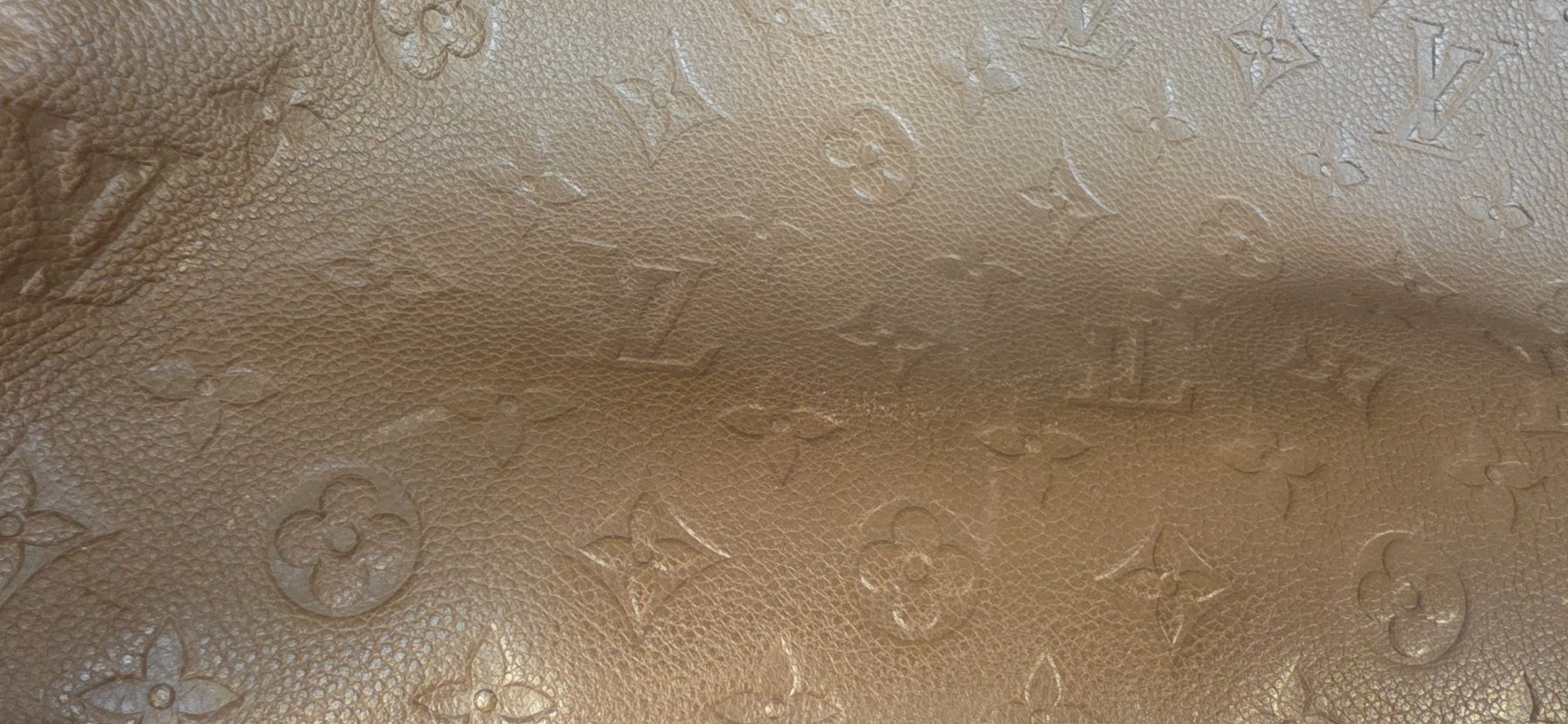 Louis Vuitton Taschen: Louis Vuitton  Tasche  Lumineuse – Gebraucht aus Hildisrieden von Beka23 9