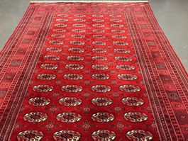 Tekke Bochara Pakistan 275x187cm