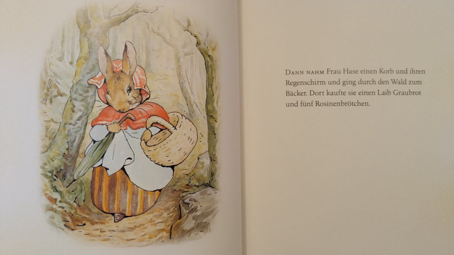 Libri: Die Geschichte von Peter Hase / Beatrix Potter / Bilderbuch – Usato da Bellach venduto da JingleJerry 4