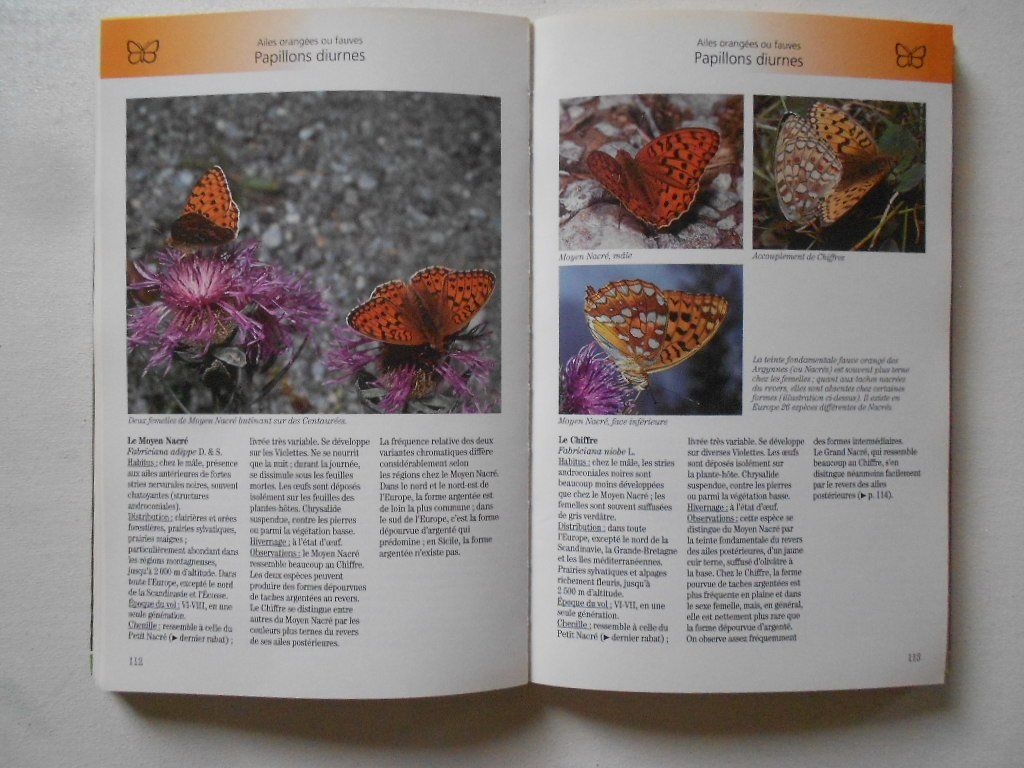Libri: PAPILLONS ET CHENILLES – Usato da Bex venduto da Giorgiob 3