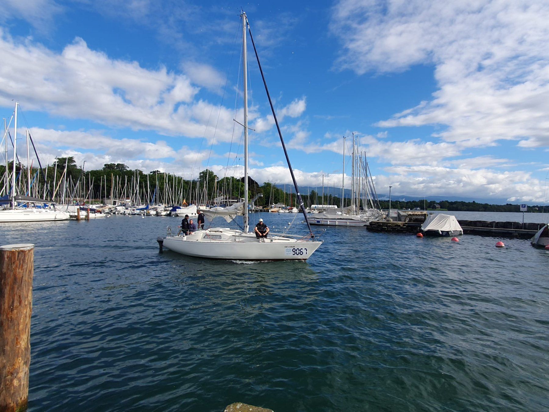 Sonstiges: Voilier Scampi 30 albin marine – Gebraucht aus Bellevue von yoa_6gf6 1