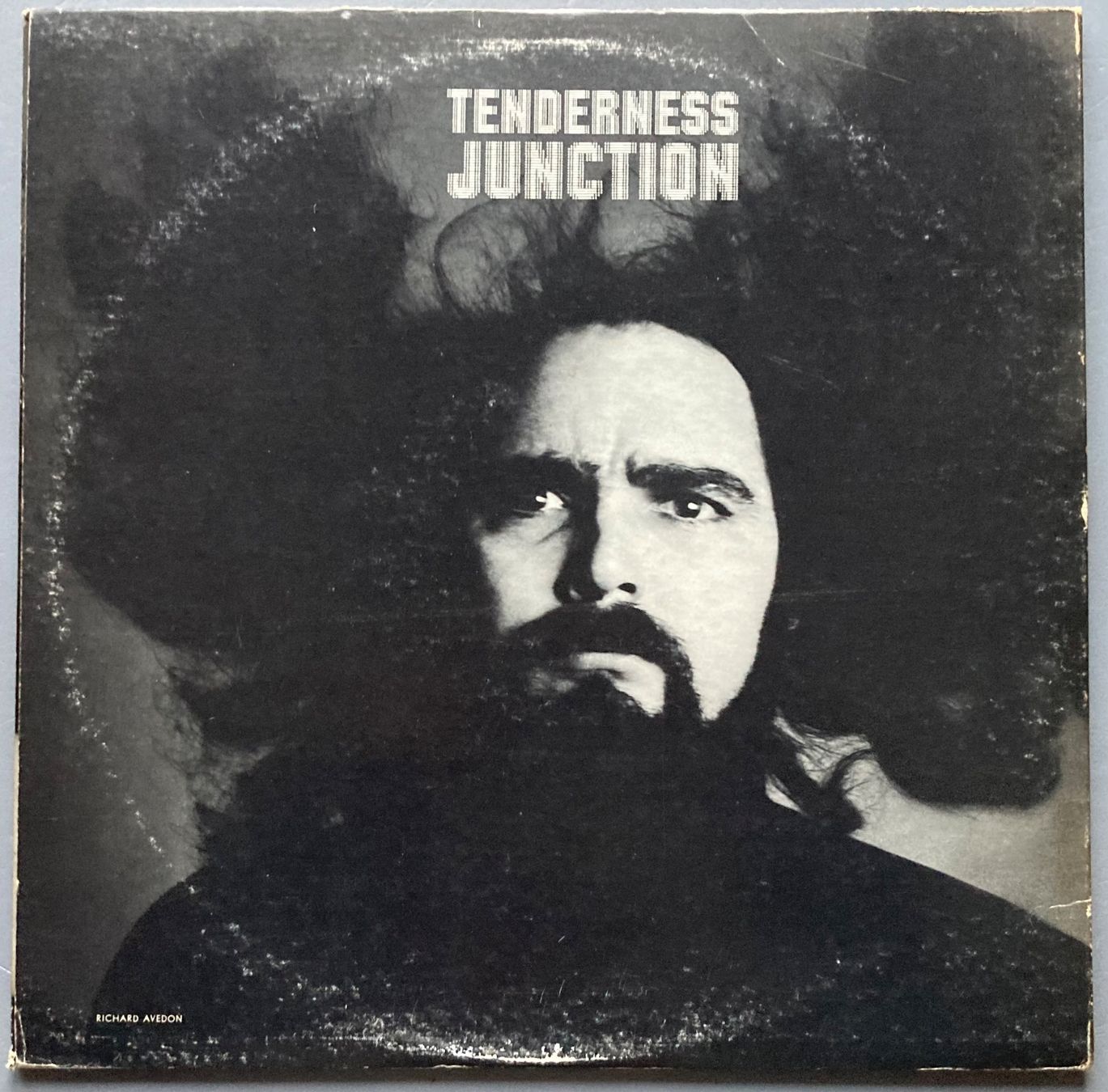 Dischi in vinile: THE FUGS - TENDERNESS JUNCTION – Usato da Poliez-Pittet venduto da Newtown-Records 1