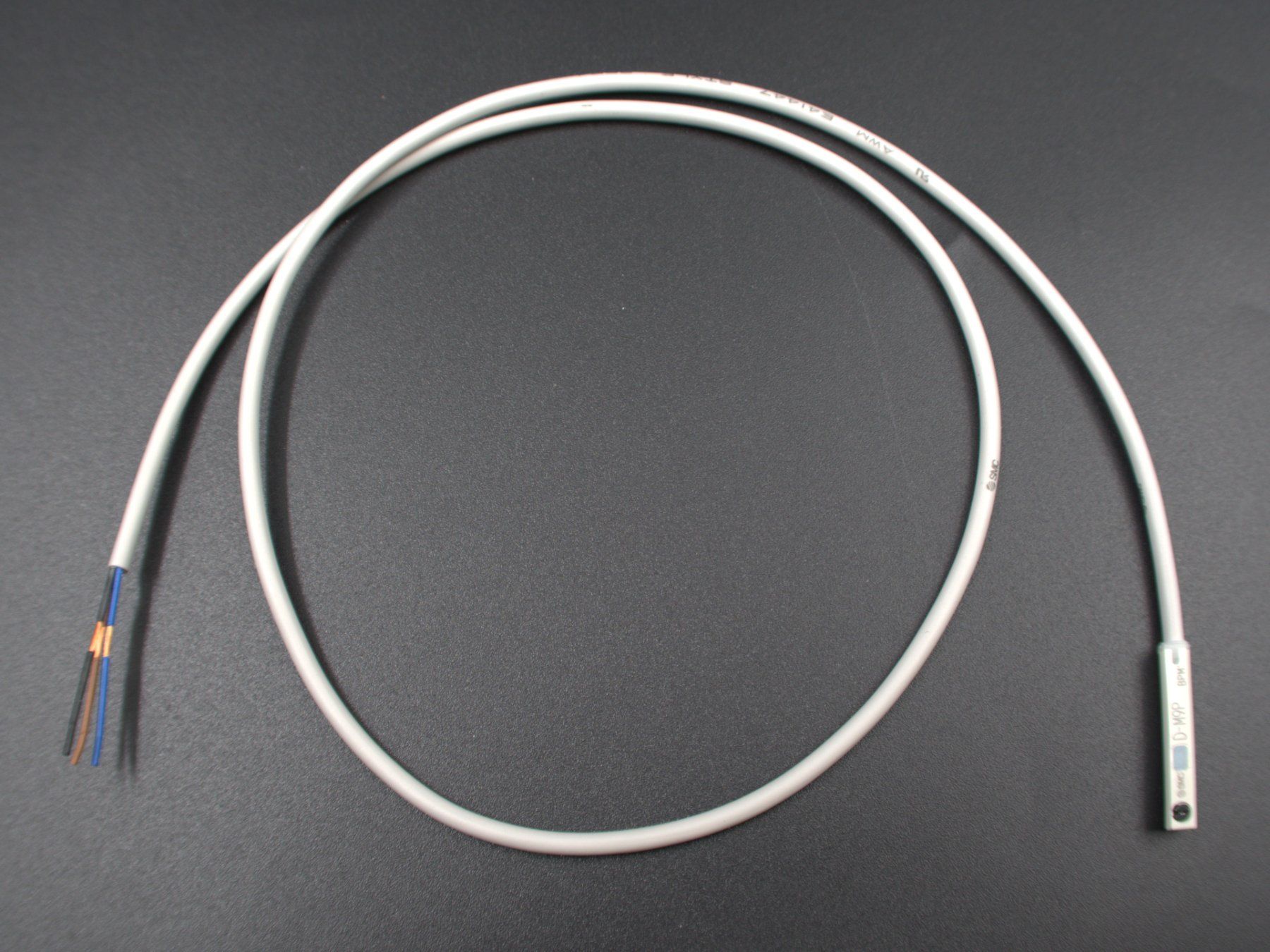 Altro per industria metallurgica: SMC Sensor D-M9P 0.5 – Nuovo e nell'imballaggio originale da Lömmenschwil venduto da ritalin01 1