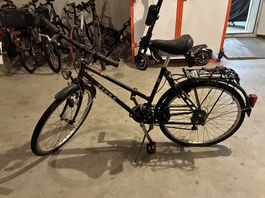 Tigra Velo zu verkaufen