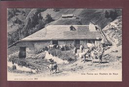 ROCHERS DE NAYE - Une Ferme - Vaches
