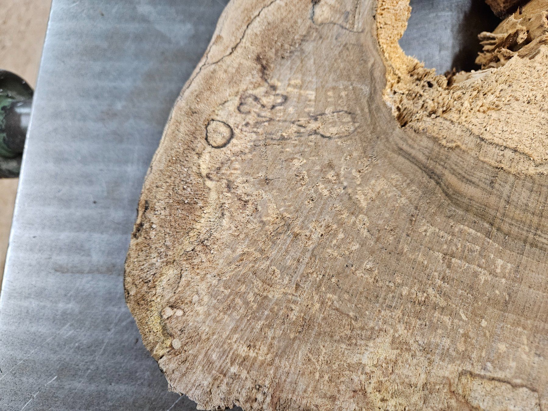 Articoli in legno: Nussbaum Holz Baumscheibe – Nuovo (secondo la descrizione) da Schangnau venduto da egli6.2 1