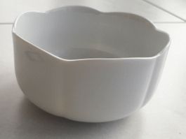 Alt Tirschenreuth Porzellan Schale