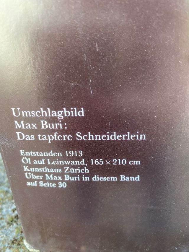 Libri: Schweizer Maler 100 Titelbilder des Schweizerischen Beobacht – Usato da Diessenhofen venduto da Albin00 4