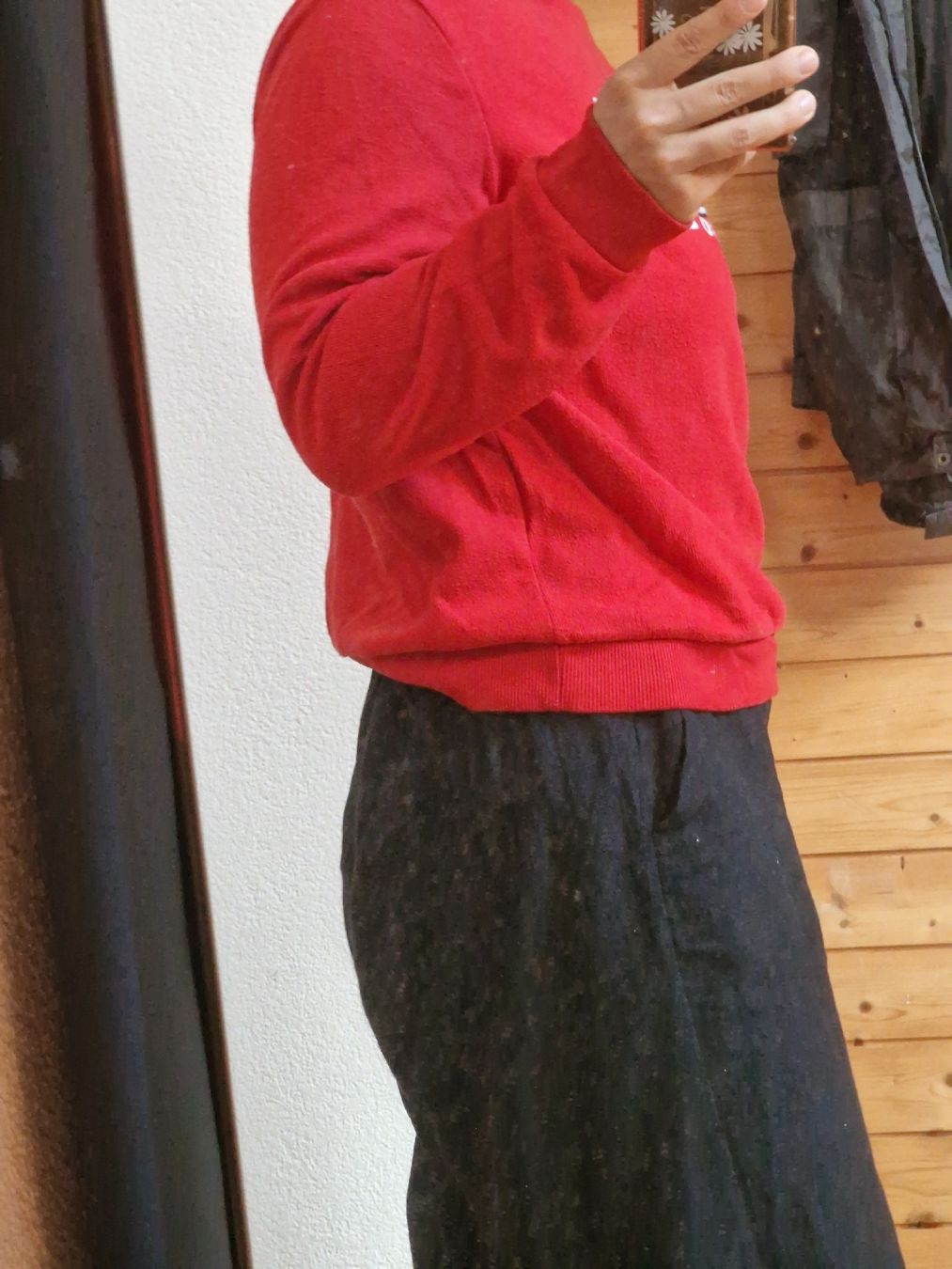 Maglioni & Felpe: Pullover – Usato da Wil SG venduto da zeh_pck9 5