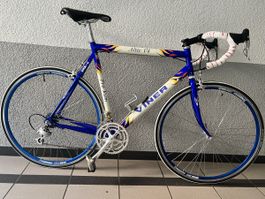 Viner Altec V4 Rennrad Campagnolo