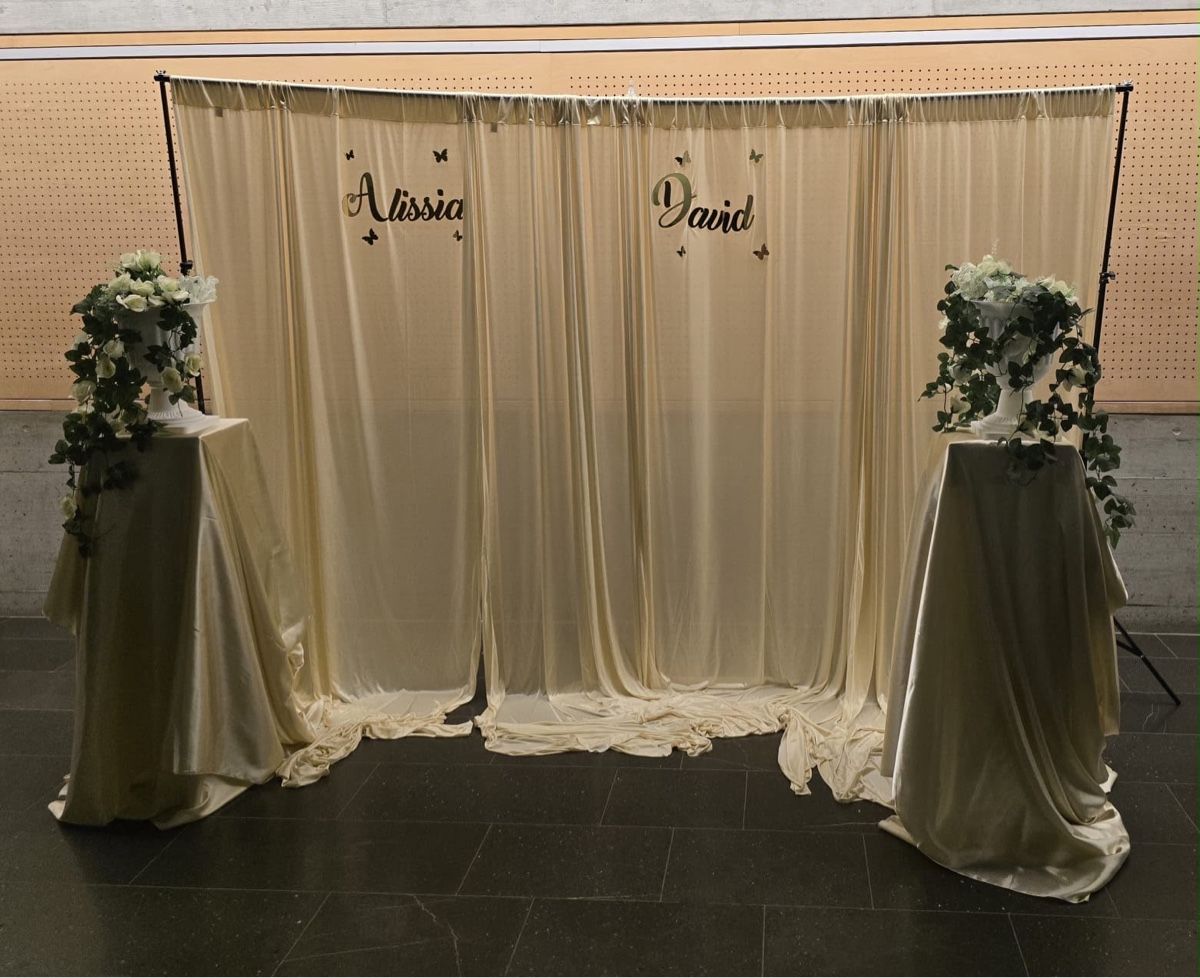 Autres décorations & accessoires: Teleskopstange – D'occasion à kreuzlingen par ilenia.uensal