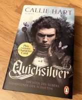 Quicksilver Band 1 mit Farbschnitt