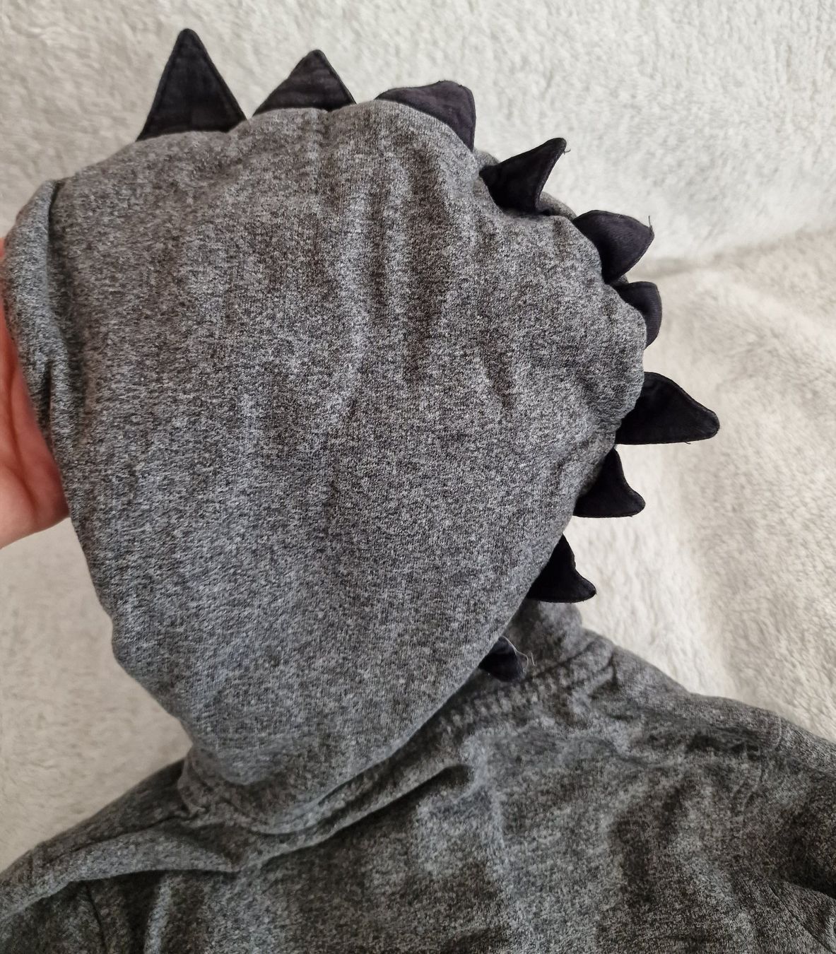 Maglioni & Felpe: Sweatjacke Gr. 98 – Usato da Zug venduto da Moehrli81 3