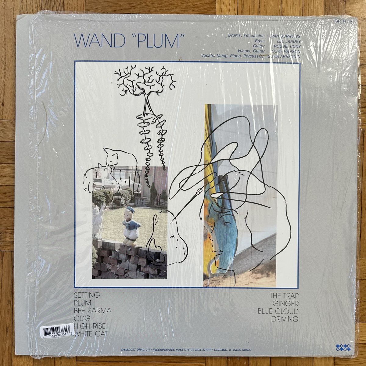 Vinyles: LP - Wand ‎– Plum – D'occasion à Breganzona par Onairda75 1