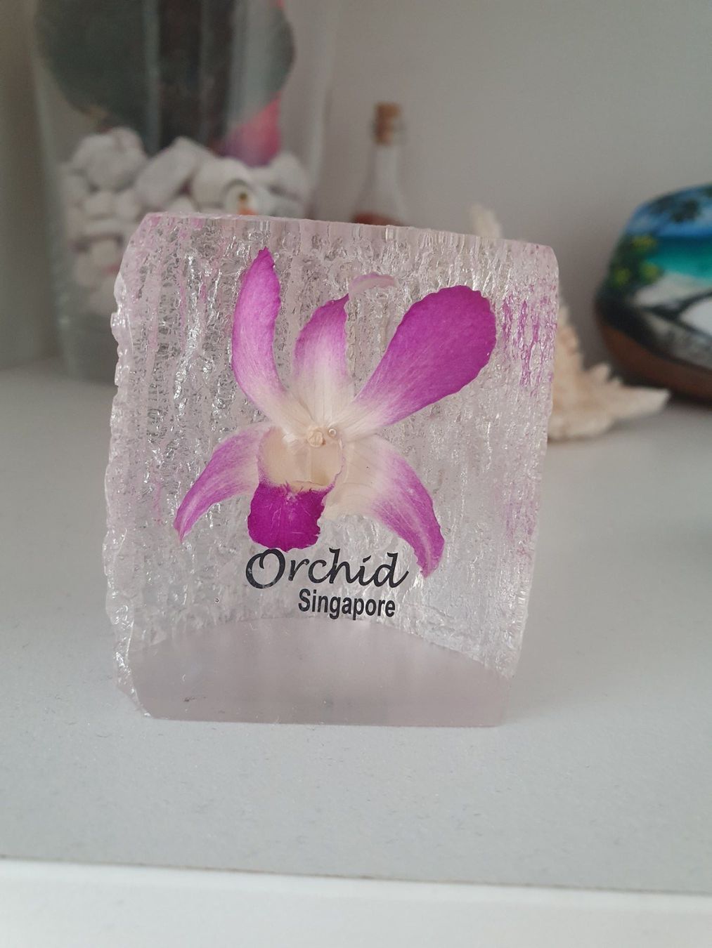 Tutte le decorazioni: Singapur Souvenir orchidee – Usato da Thun venduto da Yuma84