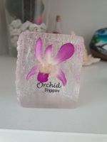 Singapur Souvenir orchidee