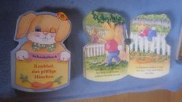 Schaukelbuch Knubbel