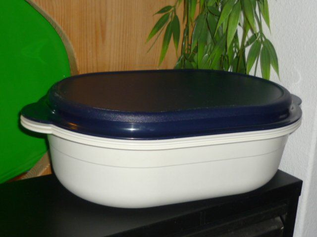 Tupperware Contenitori & Simili: TUPPERWARE 20X29. H. 10 CM. CA. – Usato da St.Gallen venduto da Anso 5