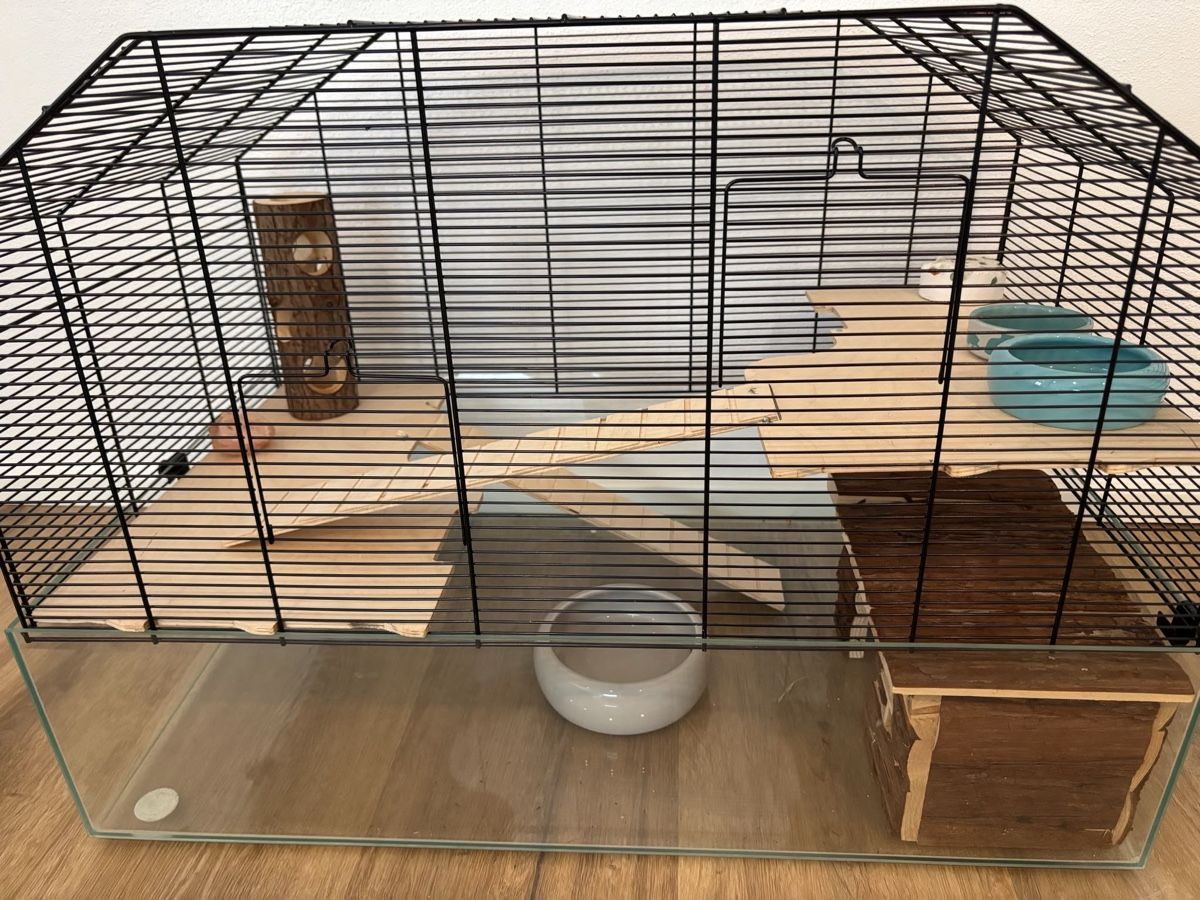 Cages, transport & sécurité: Hamsterkäfig – D'occasion à Wettingen par Brisa2011 4