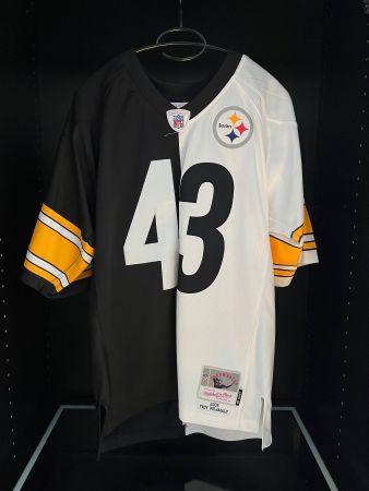 Pittsburgh Steelers Trikot / Troy Polamalu