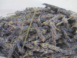 Lavendel getrocknet ca. 150gr Jahr 2026