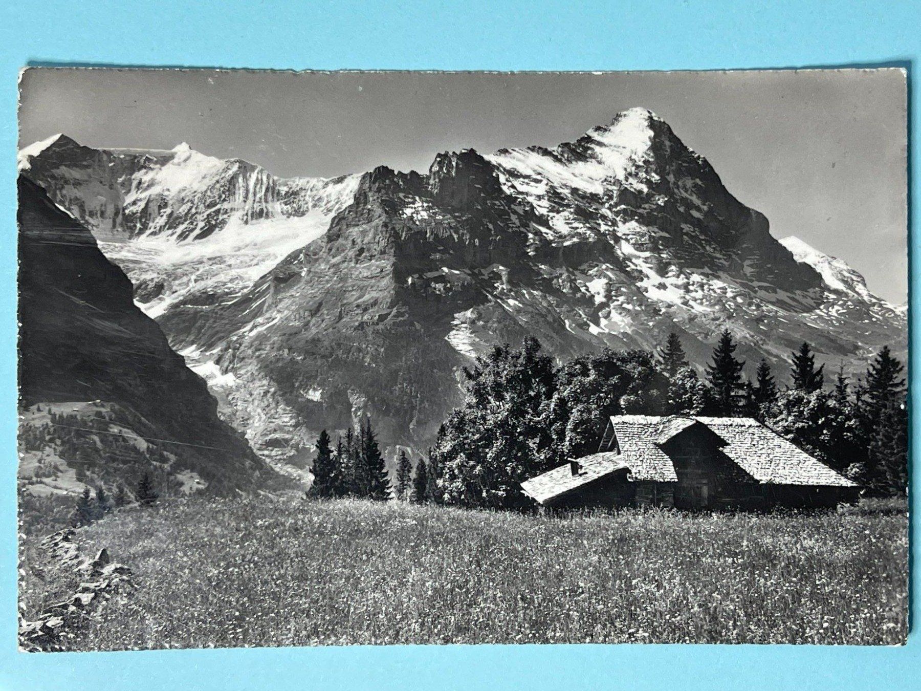 Ansichtskarten: Grindelwald - 1958 – Gebraucht aus Steg VS von danwer74