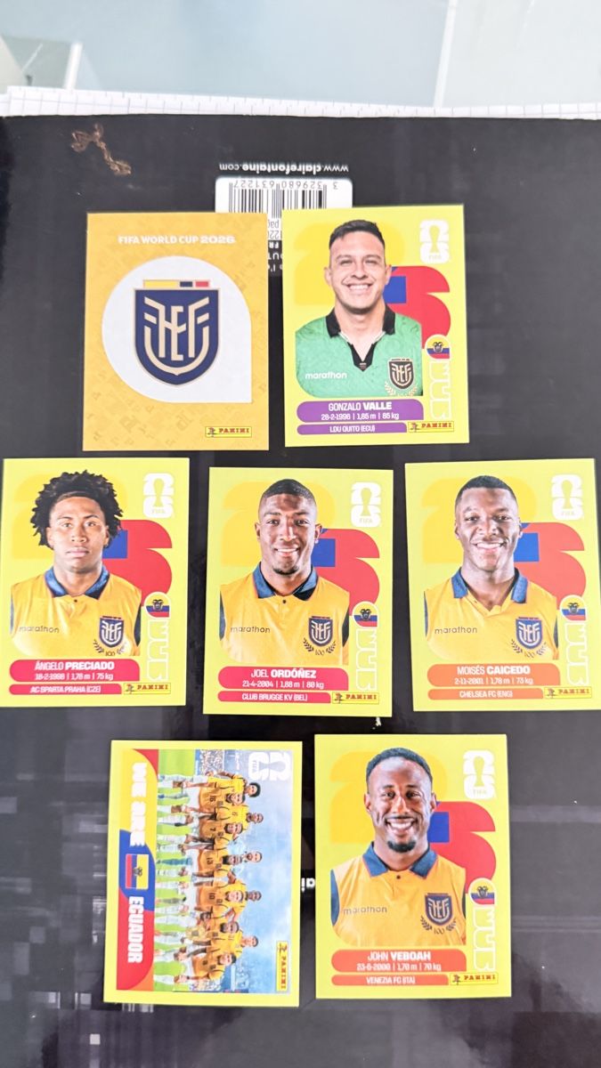 Panini Carte collezionabili: Panini ECU  – Usato da Oberhasli venduto da Alanickal 1